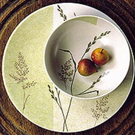 Picture of Dinner Plates