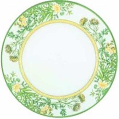 Picture of Dinner Plates