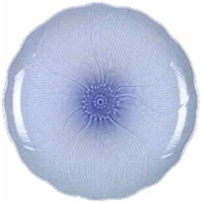 Picture of Dinner Plates