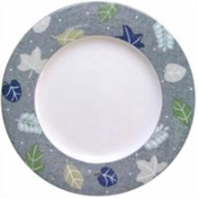 Picture of Dinner Plates