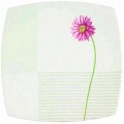 Picture of Dinner Plates