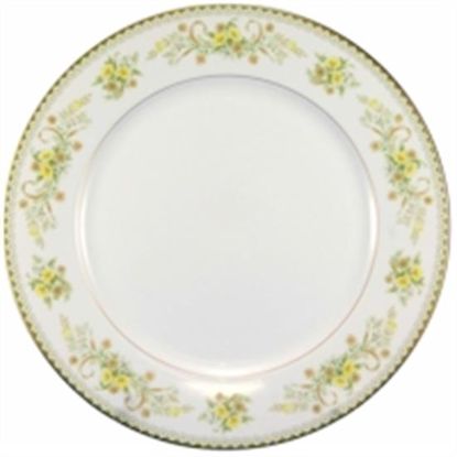 Picture of Dinner Plates