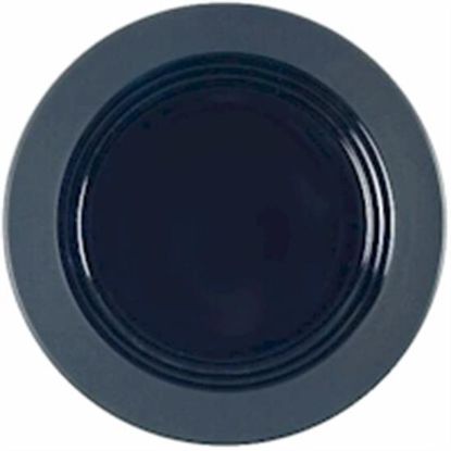 Picture of Dinner Plates