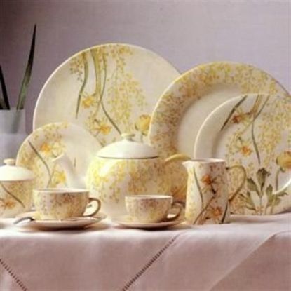 Picture of Dinner Plates