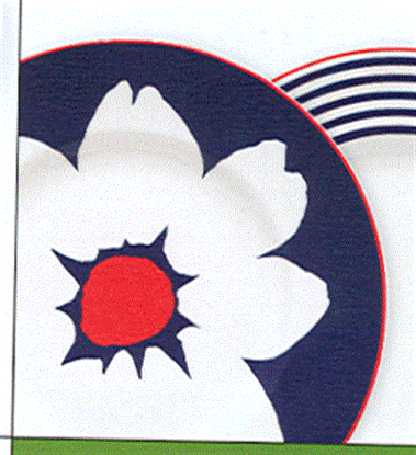 Picture of New Accent Salad Plate