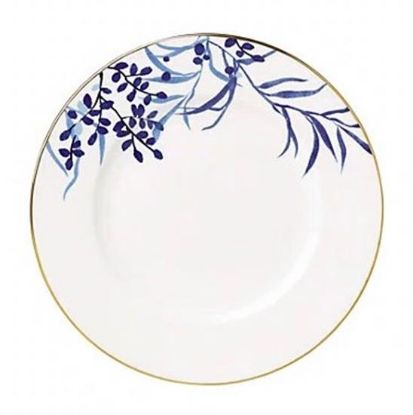 Picture of New Dinner Plate