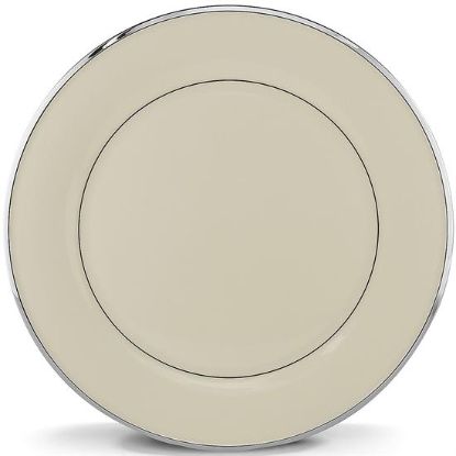 Picture of New Service Plate 12"