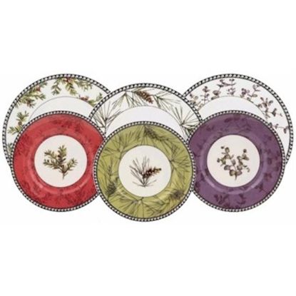 Picture of Dinner Plates