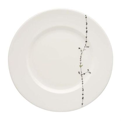Picture of Dinner Plates