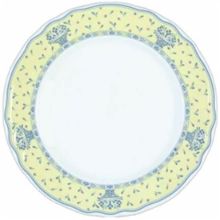 Picture of Dinner Plates