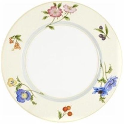 Picture of Dinner Plates