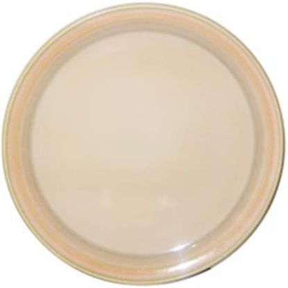 Picture of Dinner Plates
