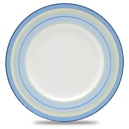 Picture of Dinner Plates