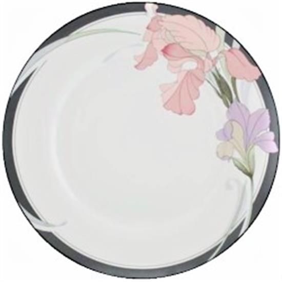 Picture of Dinner Plates