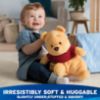 Picture of Gund Oh So Snuggly Winnie the Pooh