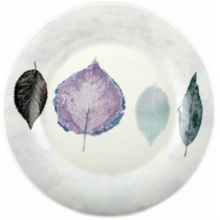 Picture of Dinner Plates