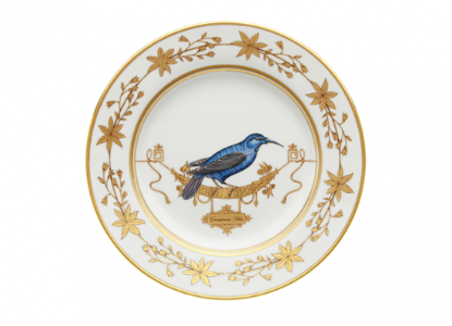Picture of New Dinner Plate