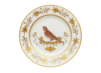 Picture of New Dinner Plate