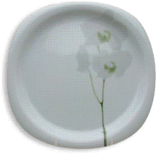 Picture of Dinner Plates