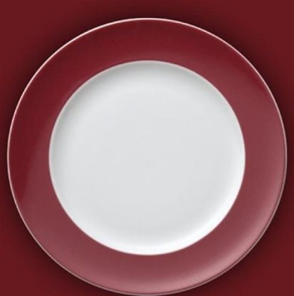 Picture of Dinner Plates