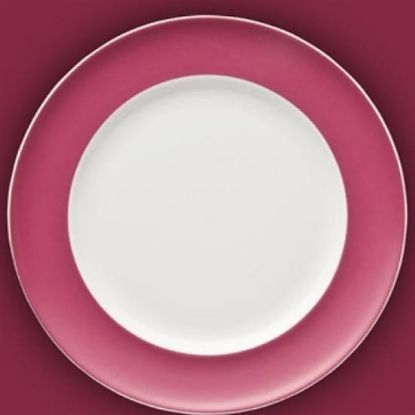 Picture of Dinner Plates