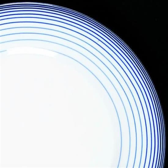 Picture of Dinner Plates