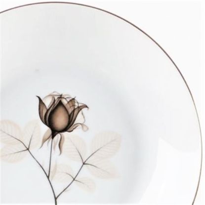 Picture of Dinner Plates