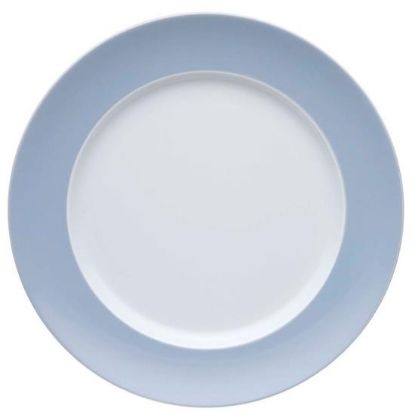 Picture of Dinner Plates