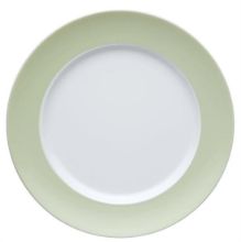 Picture of Dinner Plates