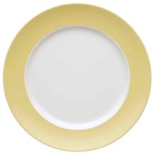 Picture of Dinner Plates