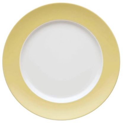 Picture of Dinner Plates