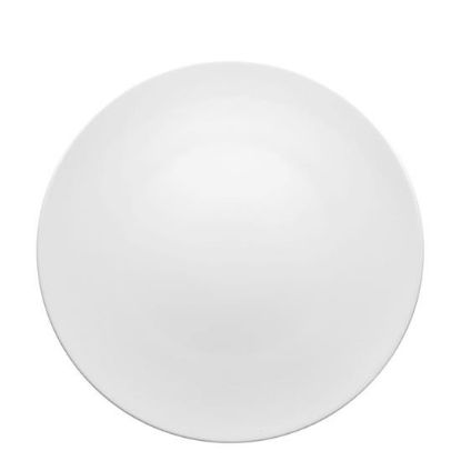 Picture of New Dinner Plate