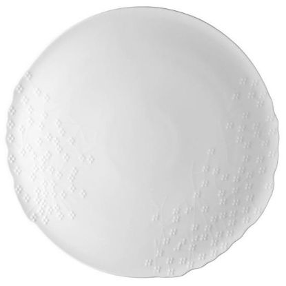 Picture of New Service Plate 12"