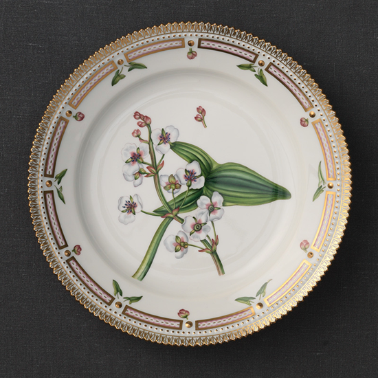 Picture of New Accent Salad Plate