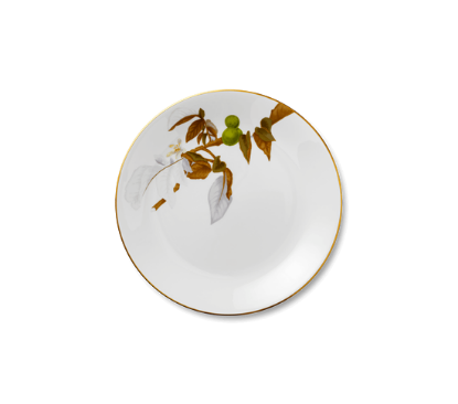 Picture of New Service Plate 12"