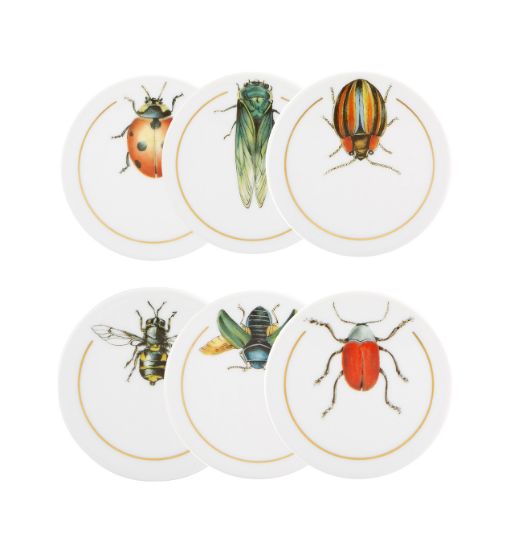 Picture of Vista Alegre Insects Coasters