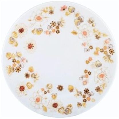 Picture of Dinner Plates