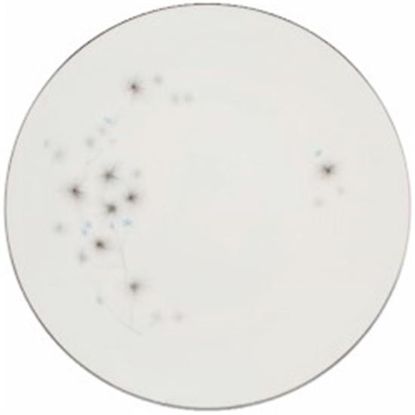 Picture of 5pc. Place Setting