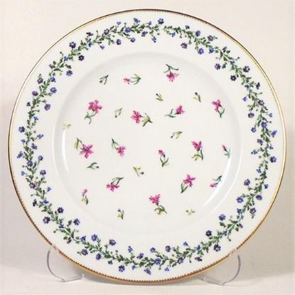 Picture of Dinner Plates