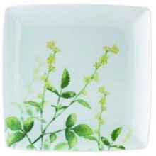 Picture of Dinner Plates