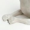 Picture of Vintage Italian Porcelain White Whippet/Greyhound Figurine
