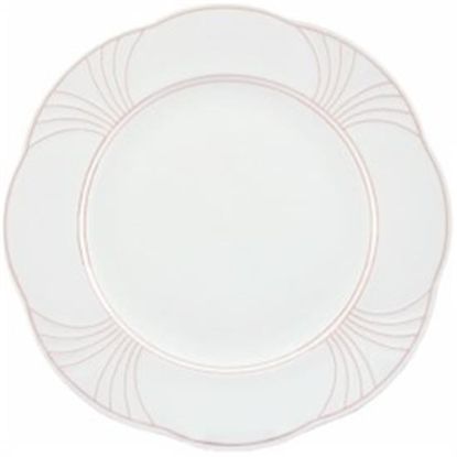 Picture of Dinner Plates
