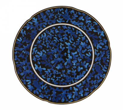 Picture of New Service Plate 12"