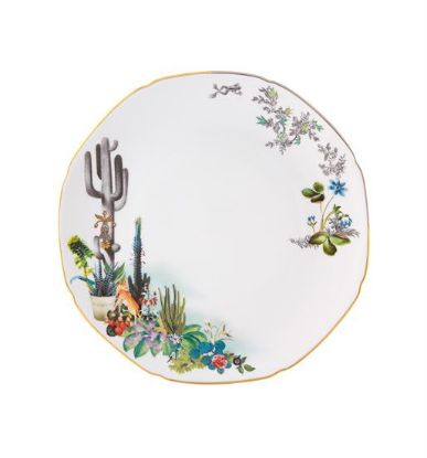 Picture of New Dinner Plate