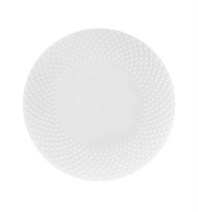 Picture of New Service Plate 12"