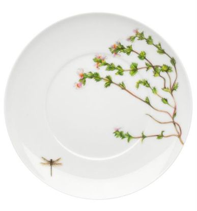 Picture of New Butter Plates