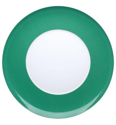 Picture of New Service Plate 12"