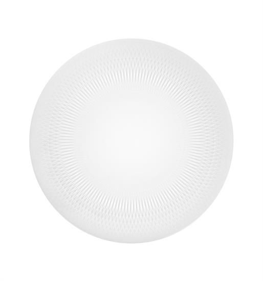 Picture of New Service Plate 12"