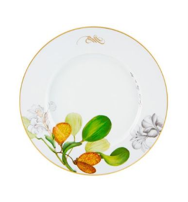 Picture of New Dinner Plate