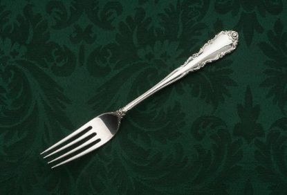 Picture of Place Forks